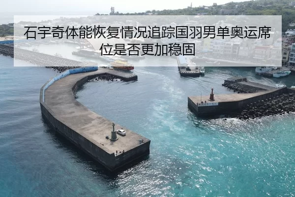 石宇奇体能恢复情况追踪国羽男单奥运席位是否更加稳固