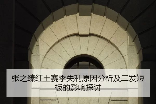 张之臻红土赛季失利原因分析及二发短板的影响探讨