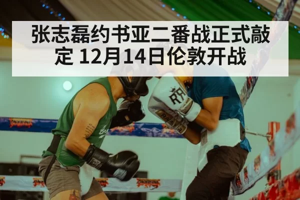 Anthony Joshua boxing match