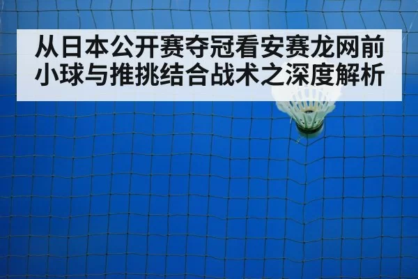 badminton net shot